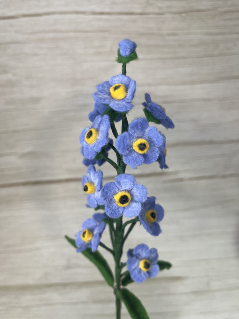 Forget Me Not