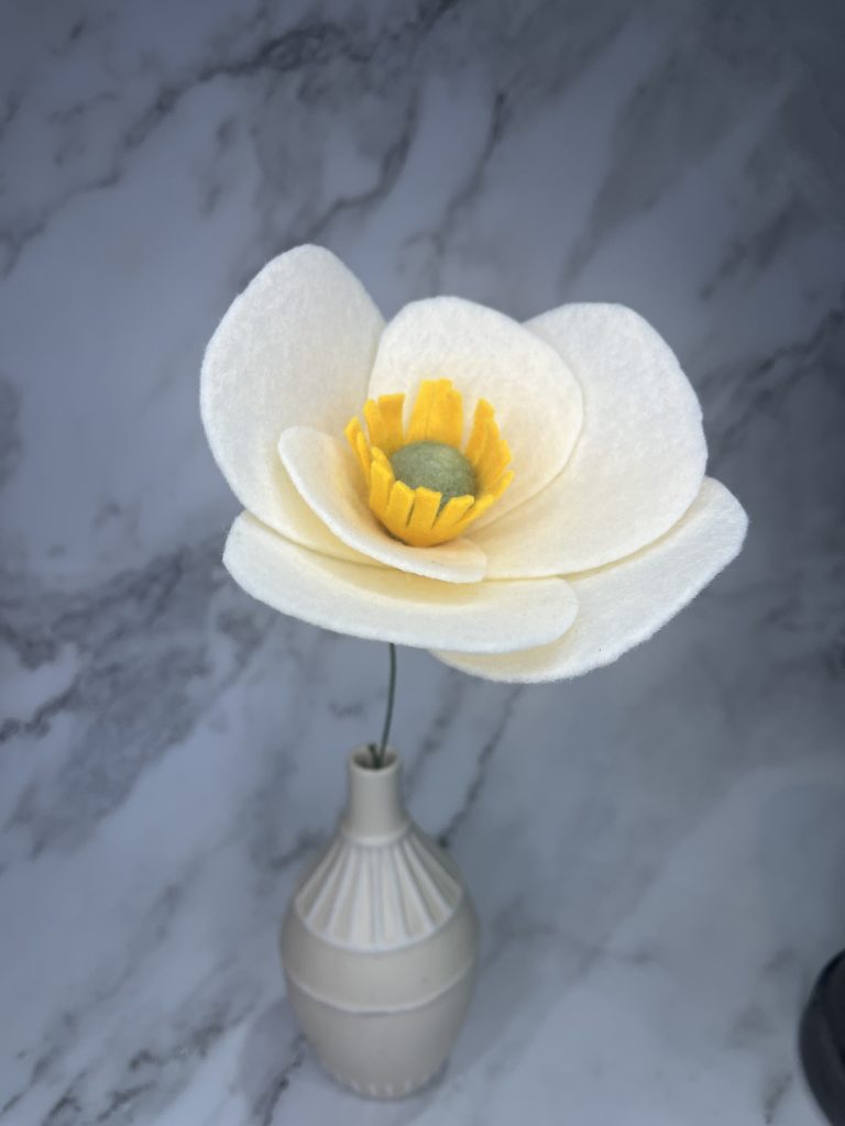 Cream Poppy