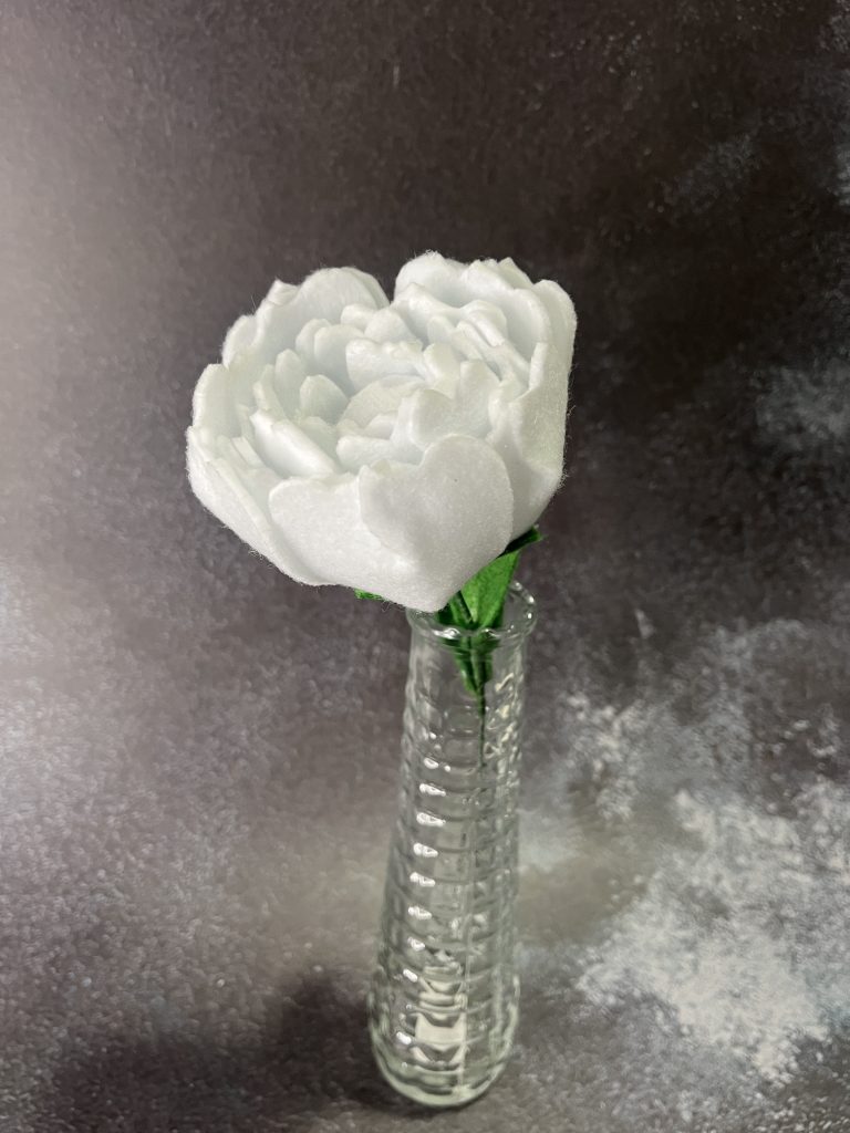 Bloomed White Peony