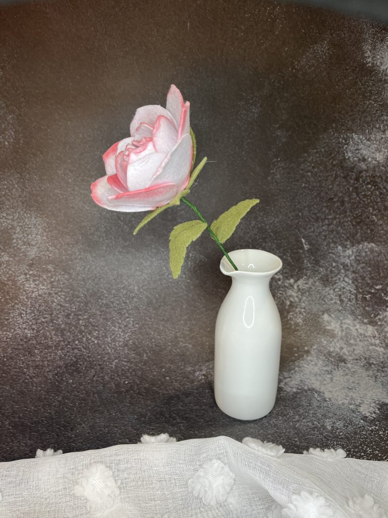 Rose (White & Red)