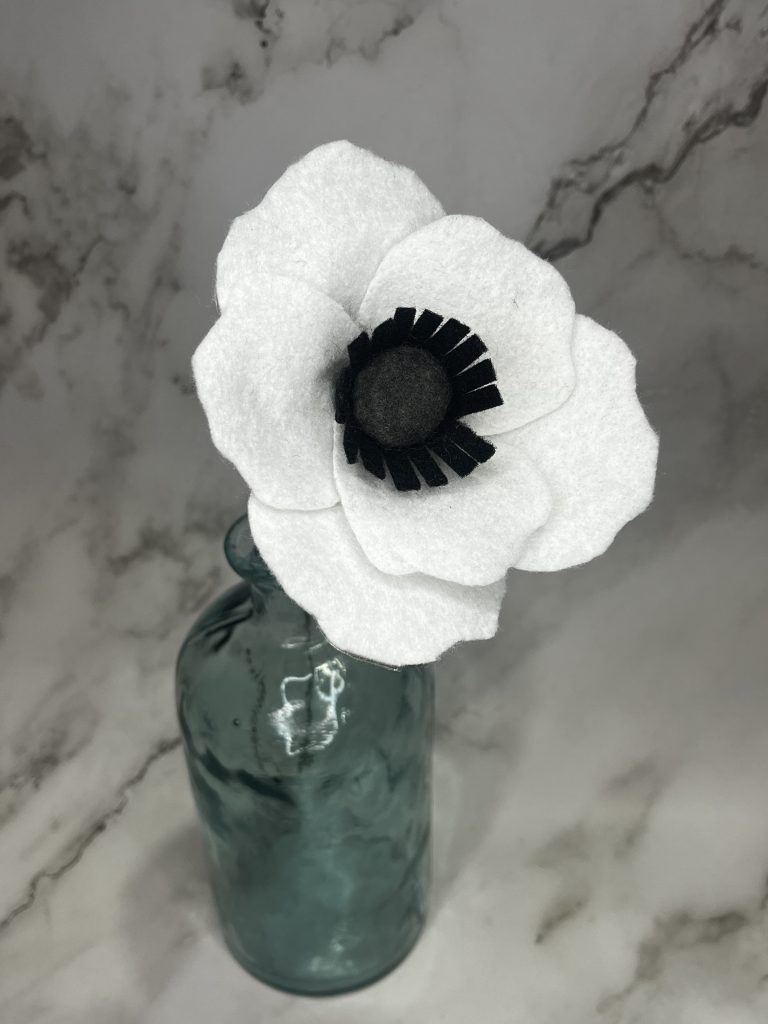 White Anemone