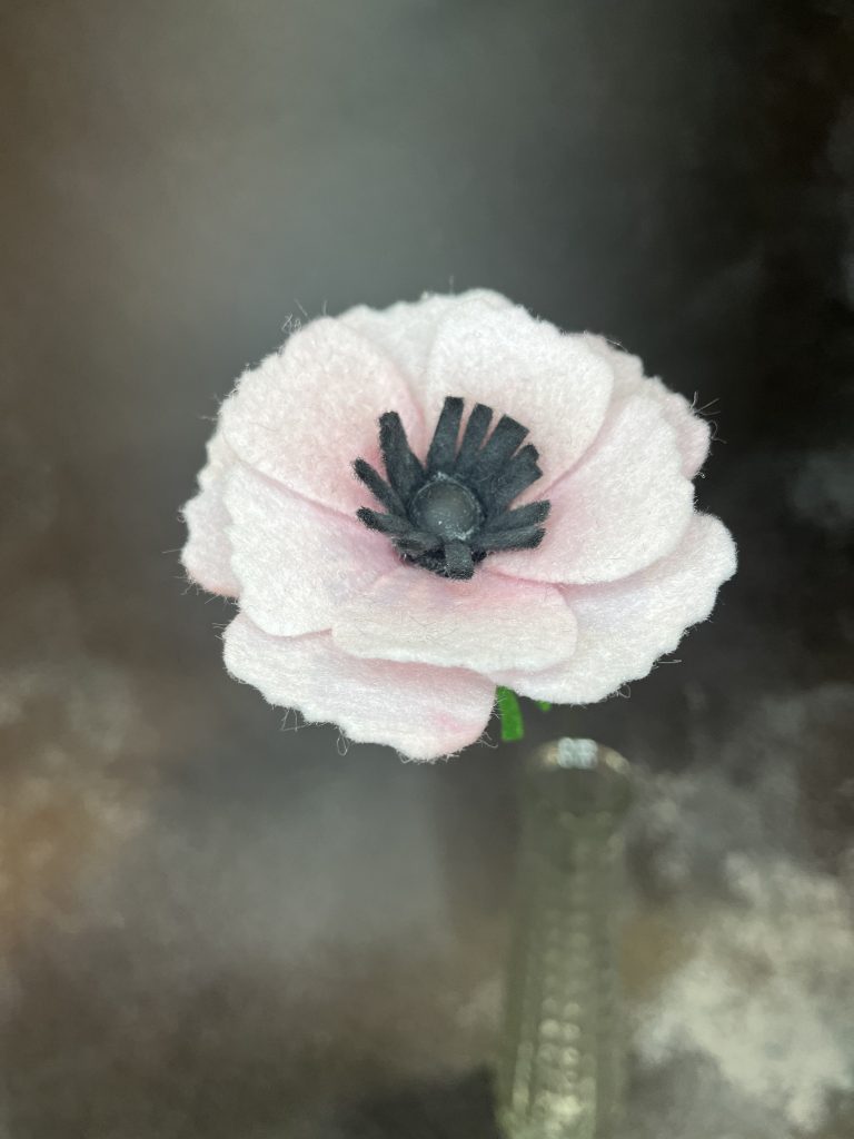 Anemone (Pink & White)