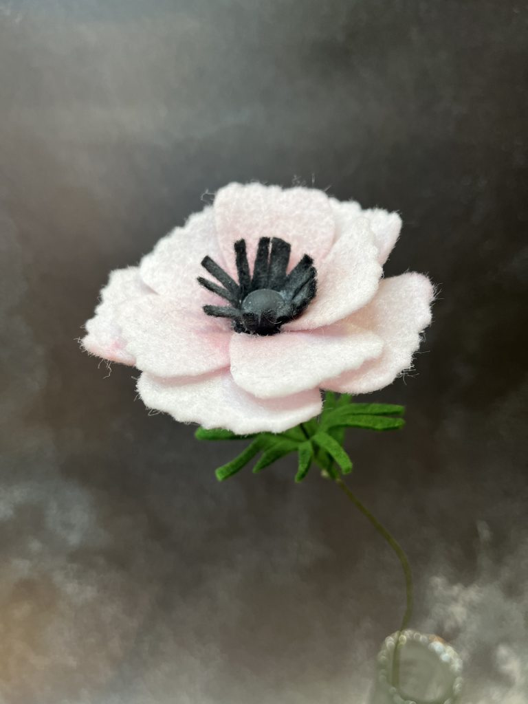 Anemone (Pink & White)