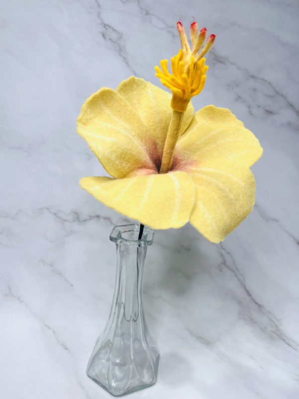 Yellow Hibiscus