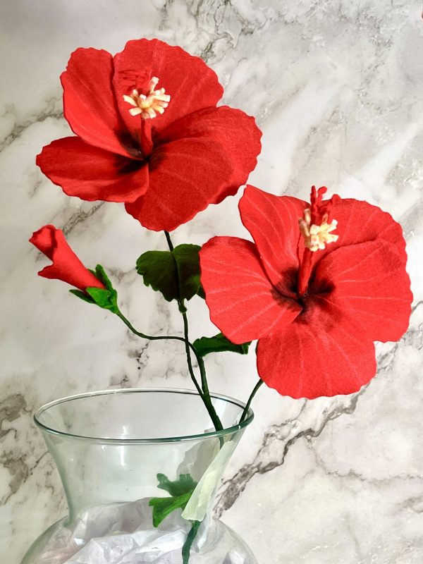 Red Hibiscus
