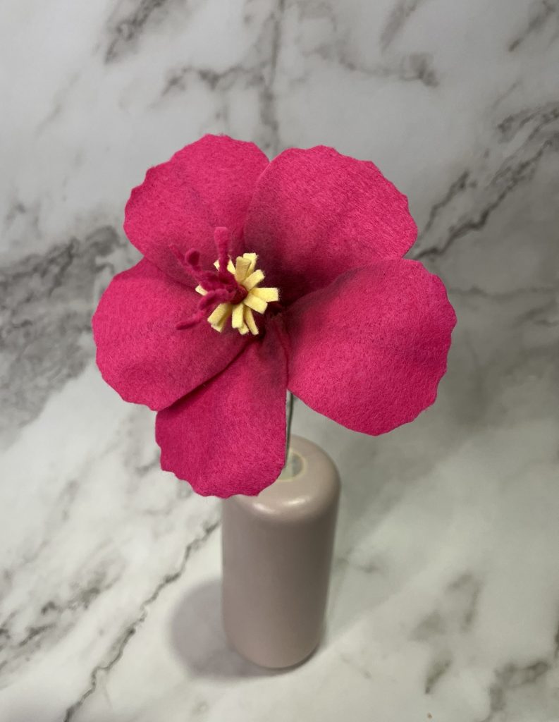 Pink Hibiscus