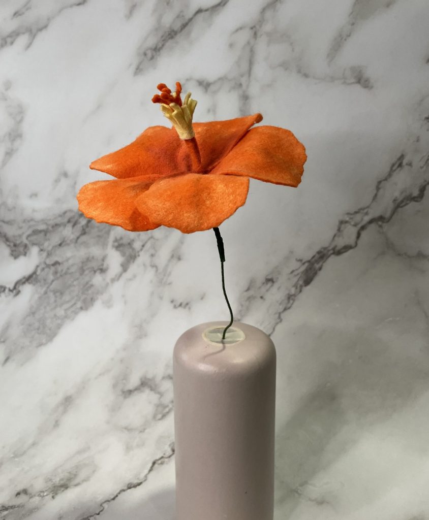 Orange Hibiscus