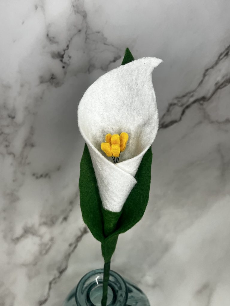 Calla Lily