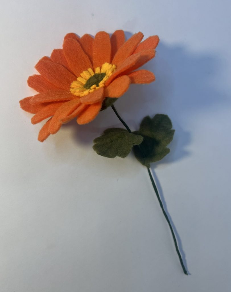 Orange Daisy