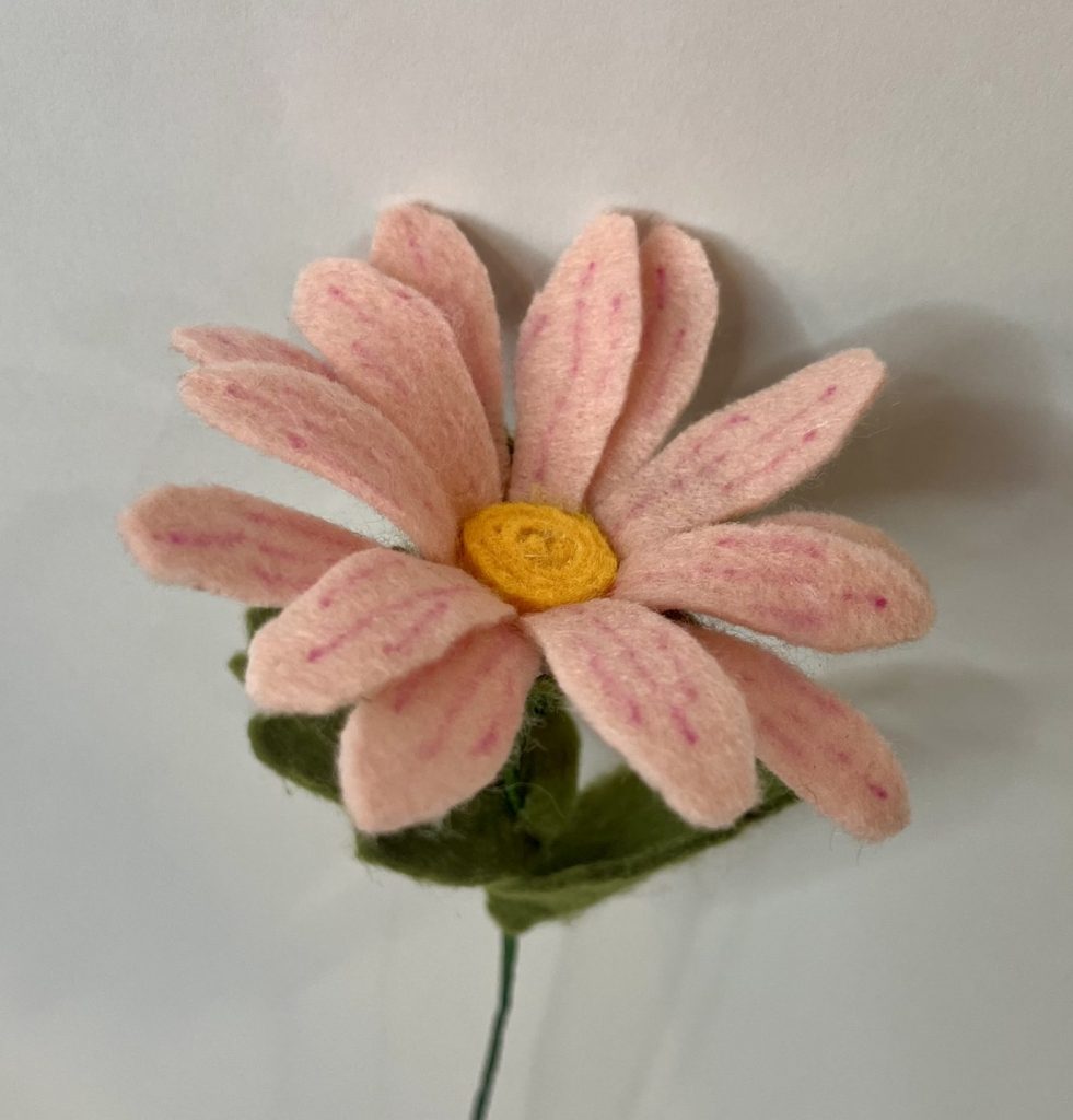Pink Daisy
