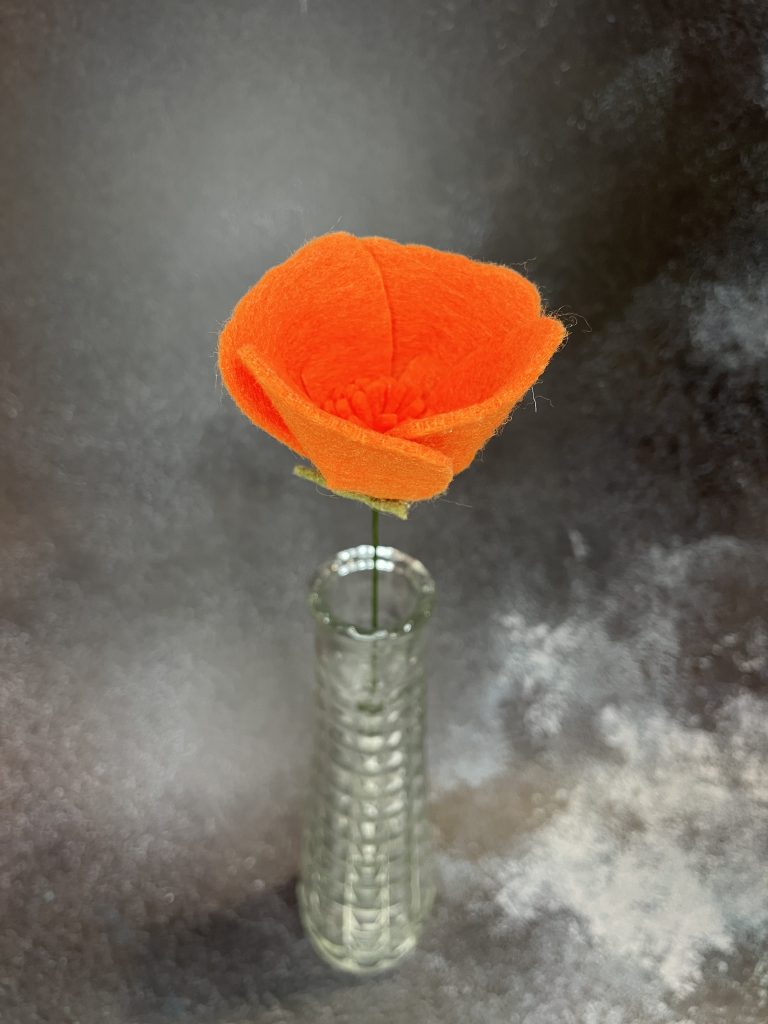 California Orange Poppy
