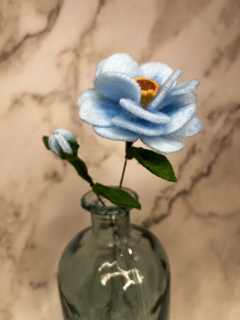 Blue Ranunculus (Buttercup)