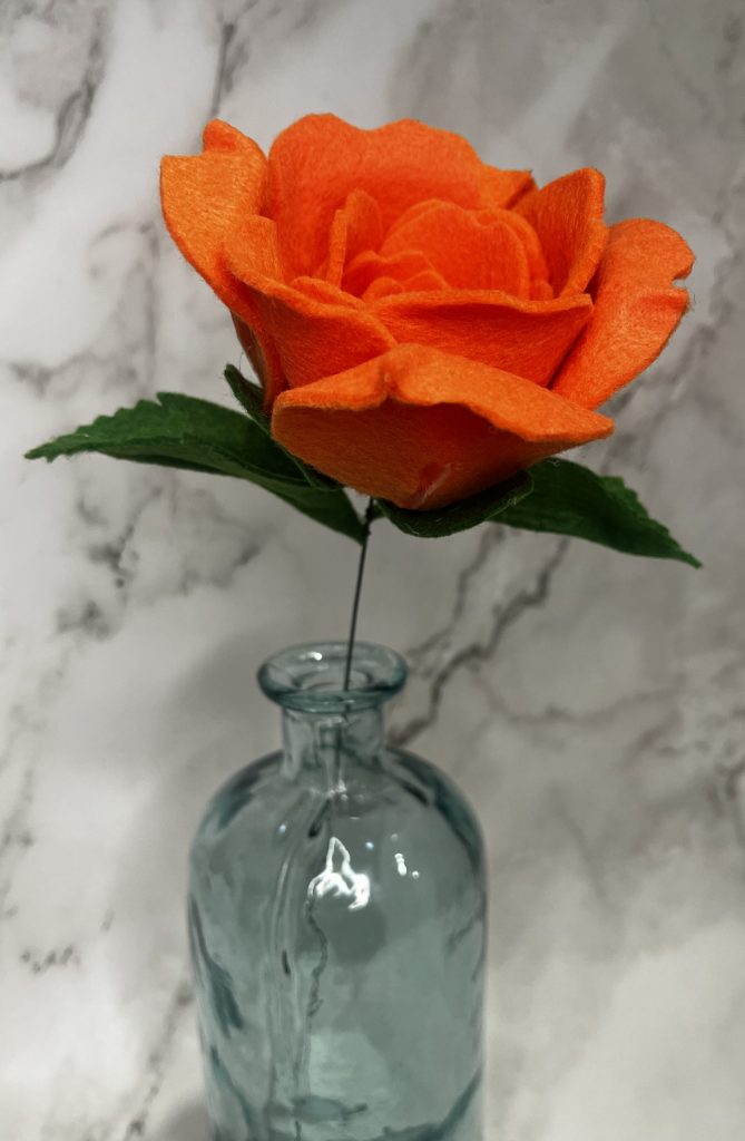 Orange Rose