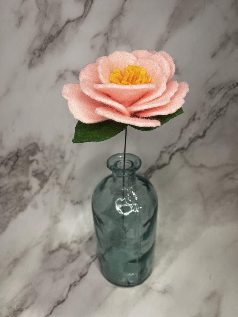 Pink Peony