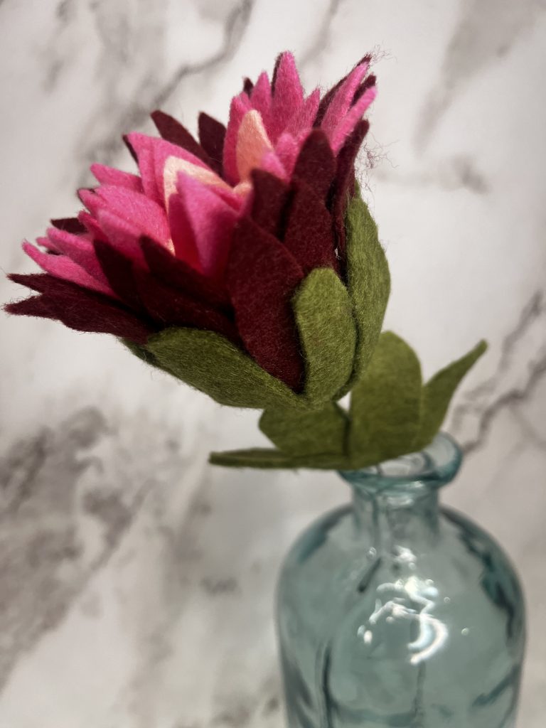 Protea