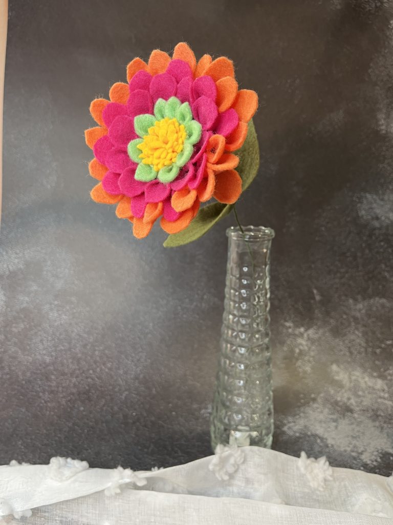 Zinnia