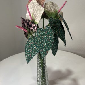 Anthurium or Lace Leaf Flower