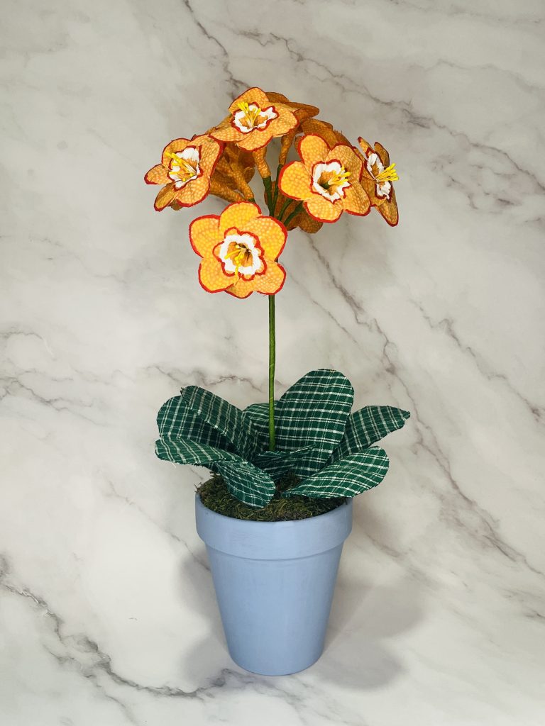 Handcrafted Auricula in Pot