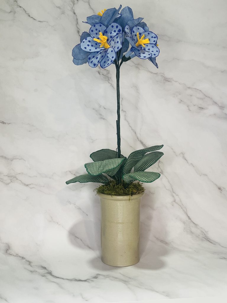 Handcrafted Auricula Primrose in Pot