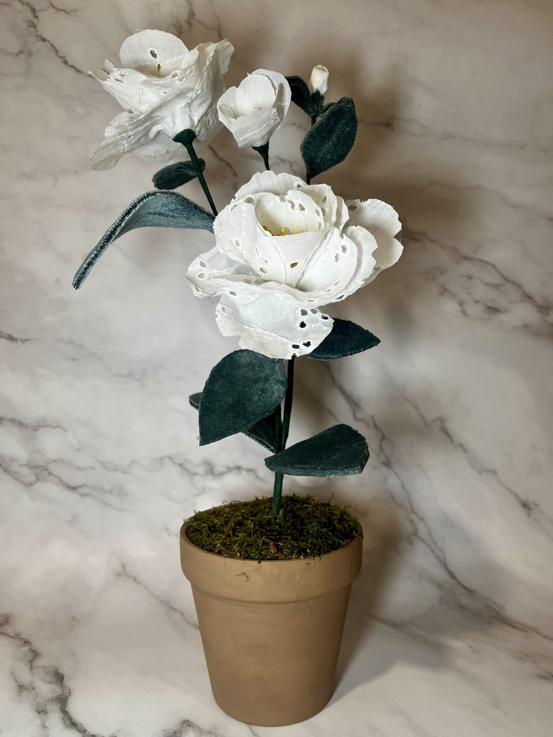 White Camellia