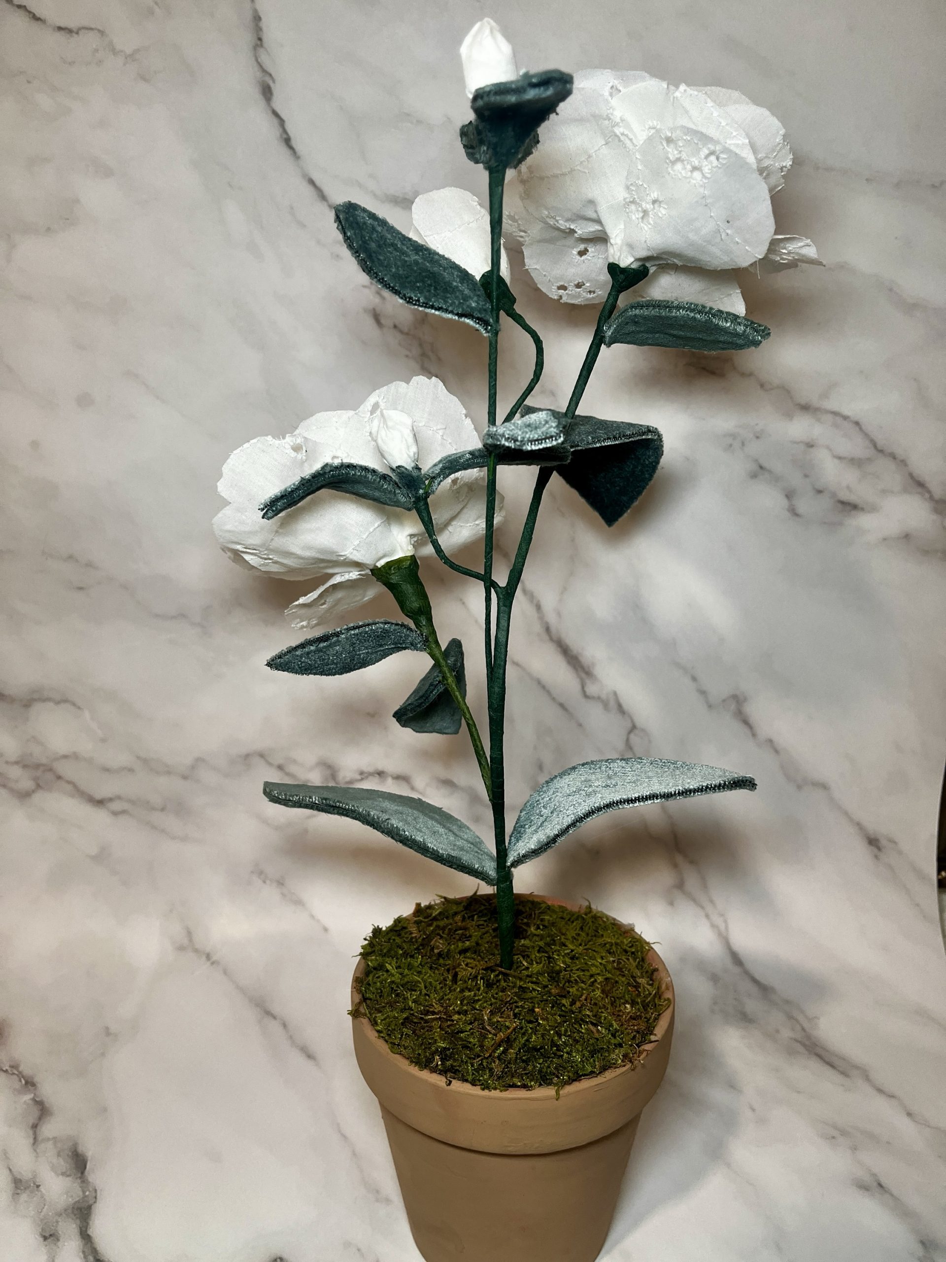 White Camellia - Image 3