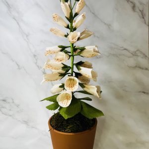 Handcrafted Coral Foxglove in Pot