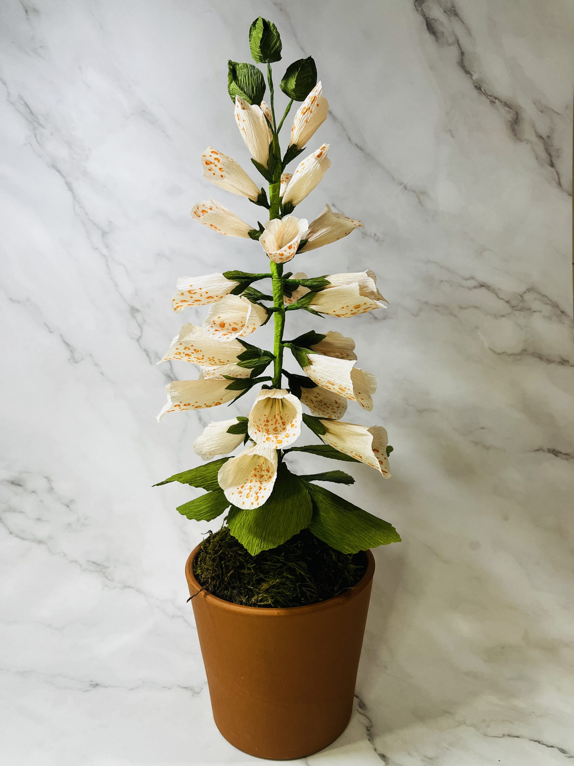 Handcrafted Coral Foxglove in Pot